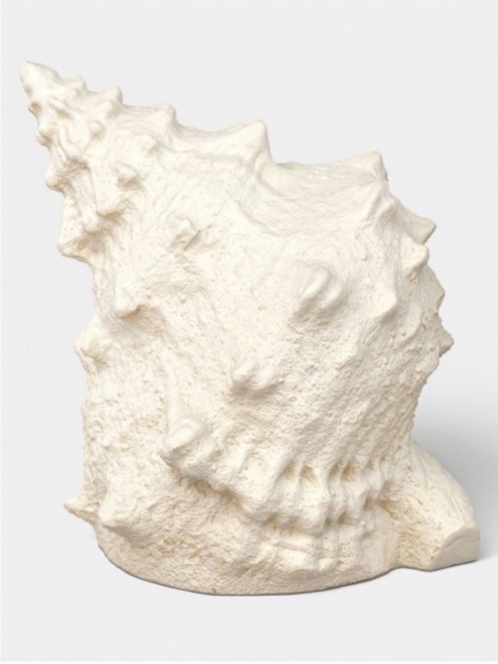 Studio McGee Threshold Conch seashell rechargeable light - beach, outdoor, patio